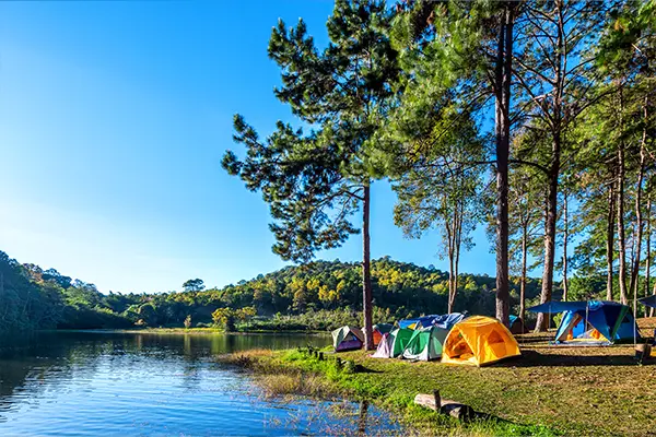 De nouvelles activités cette année au camping Camping Blue Lagoon